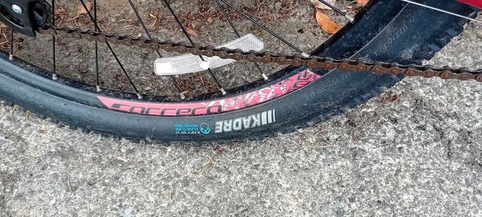 Carrera Mountain Bike