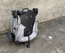 Travelling Buggy - Armadillo