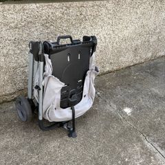 Travelling Buggy - Armadillo