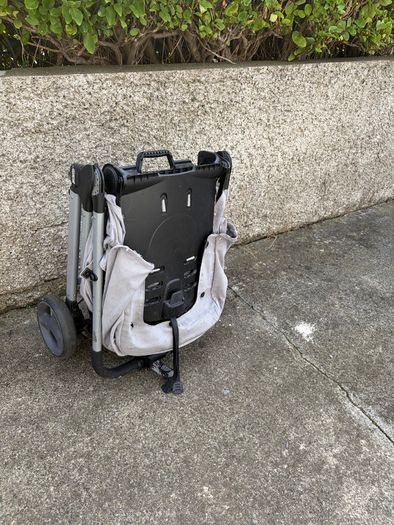 Travelling Buggy - Armadillo
