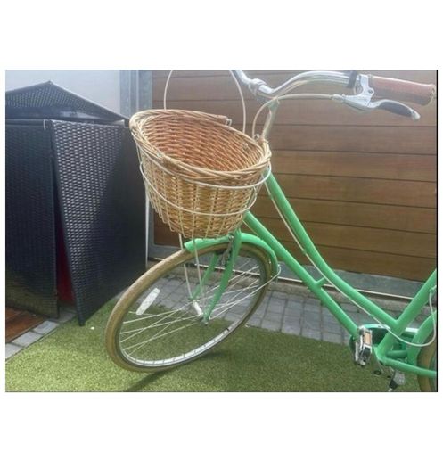 Vintage Deluxe Bike
