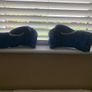 taekwondo gloves for sale. Image 4