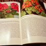 1968. 200 House Plants In Colour. Image 3