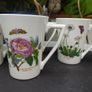 6 Vintage Portmeirion (Botanic Garden) Large Mugs Image 4