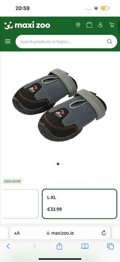 dog shoes