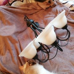 Vintage retro chandelier light