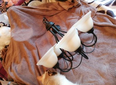 Vintage retro chandelier light