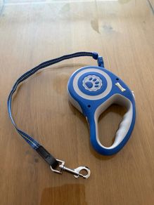 Dog lead