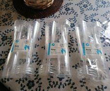 24 Champagne Clear Plastic Flutes