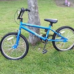 Kids Blue Bike
