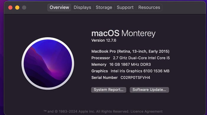 MacBook Pro early 2015 - excellent condition