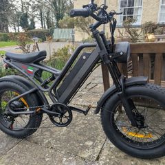 electric bicycle AILIFE X20B