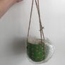 Hanging plant basket. Image 2