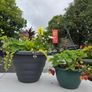 XL flower pot Image 2