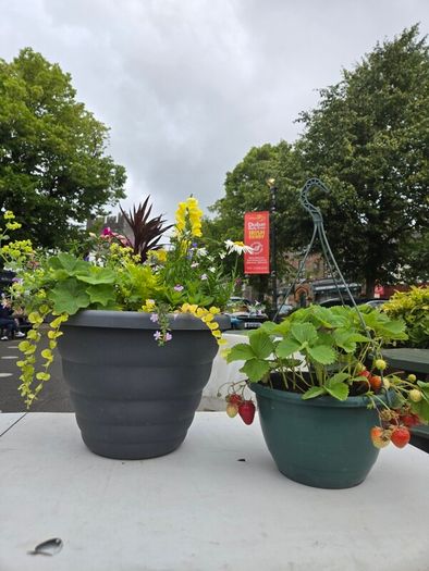 XL flower pot
