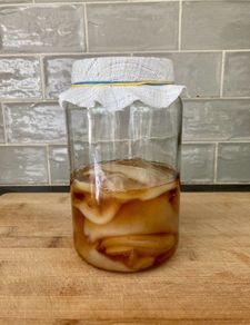 Organic kombucha scoby