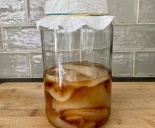Organic kombucha scoby