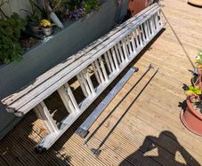 ladder