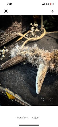 Flidais Deer Antler Tines Tips and Real Rabbit Fur Necklace Celtic Mythology Shamanic