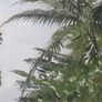 Oil painting  landscape of Kenya Image 5