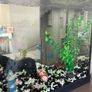 fish tank with heater Image 2