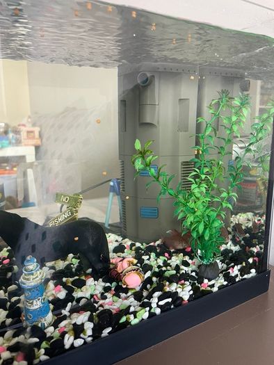 fish tank with heater