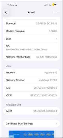 iPhone 17 pro max 256gb 100%