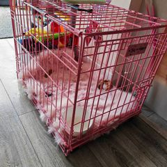 small kennel