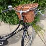 Pashley Princess Image 6