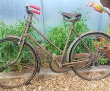 Raleigh Ladies Bike
