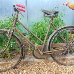 Raleigh Ladies Bike