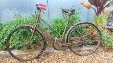 Raleigh Ladies Bike