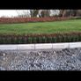 Box Hedging Image 7