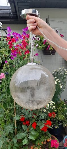crackle glass light pendant