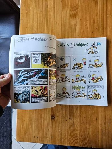 The Calvin And Hobbs X 2 Books. I X Lazy Sunday Book. 2 X There's Treasure Everywhere.  Both By Bill Watterson. Large Volume Paperback In Good Condition.  See Photos For Same