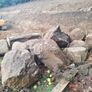 Granite Boulders Image 2