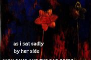 Nick Cave CD (Promo) - As I Sat Sadly By Her Side