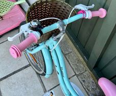 Verve Star Bike