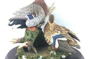 Extremely large Mallard ducks sculpture by Country Artists