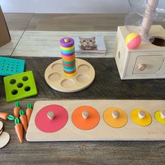 Lovevery wooden toy kit 13-15 months