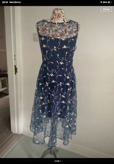 dress Bnwt Paisie occasion wear dress size 10