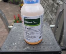 Grazon Pro 1 litre Weed killer