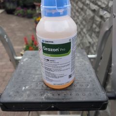 Grazon Pro 1 litre Weed killer