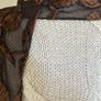Klaus Duffy Scarf Image 2