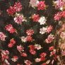 Women's Top NWT Size 14 Image 3