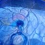 Murano Style Blue Stratus Hand Blown Bowl Image 4