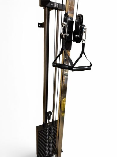 Wall Mounted Dual Cable Machine 100kg stack (new in box)