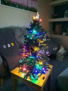 Table Top Christmas Tree & Decs