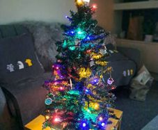 Table Top Christmas Tree & Decs