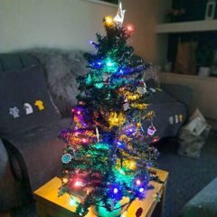 Table Top Christmas Tree & Decs